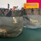 Cheetah and Camo Basket Set