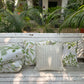 Neem Cushion Cover Set