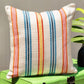 Wayne Stripe Cushion Cover